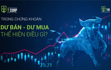 TRONG CHỨNG KHOÁN, DƯ BÁN - DƯ MUA THỂ HIỆN ĐIỀU GÌ?
